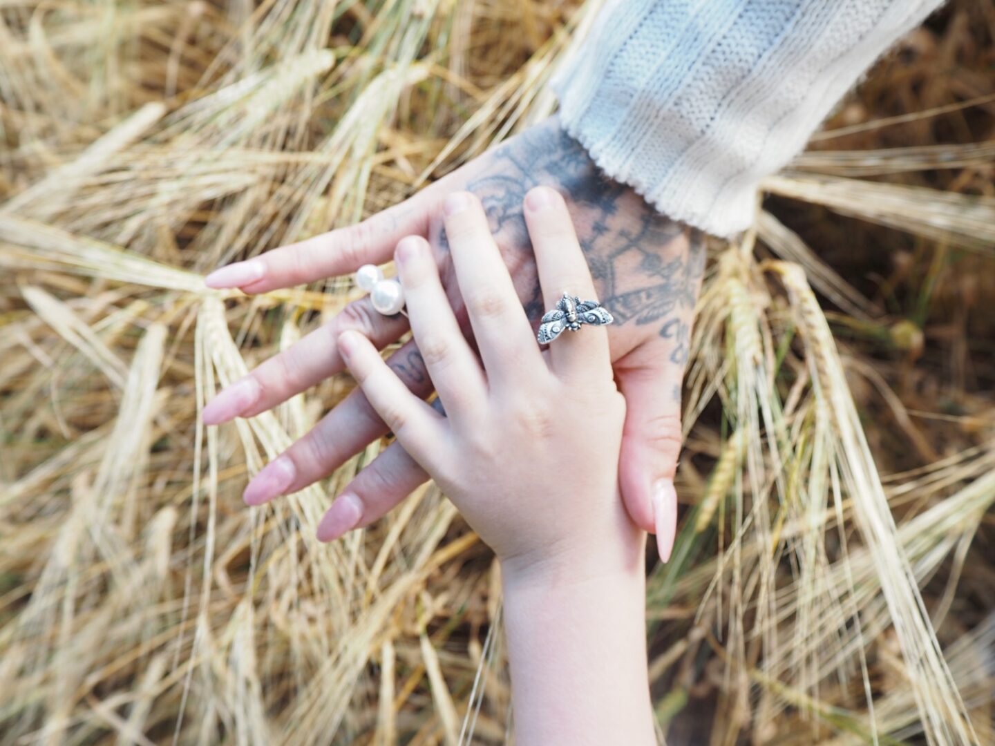 A picture of Eve Sara and her sons hand together in autumn.