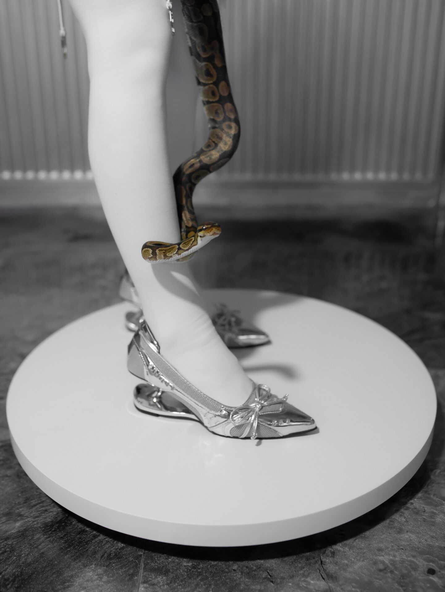 A picture of Eve Sara wearing the Astra Arch Heels from Asyllum and her snake Anubis.
