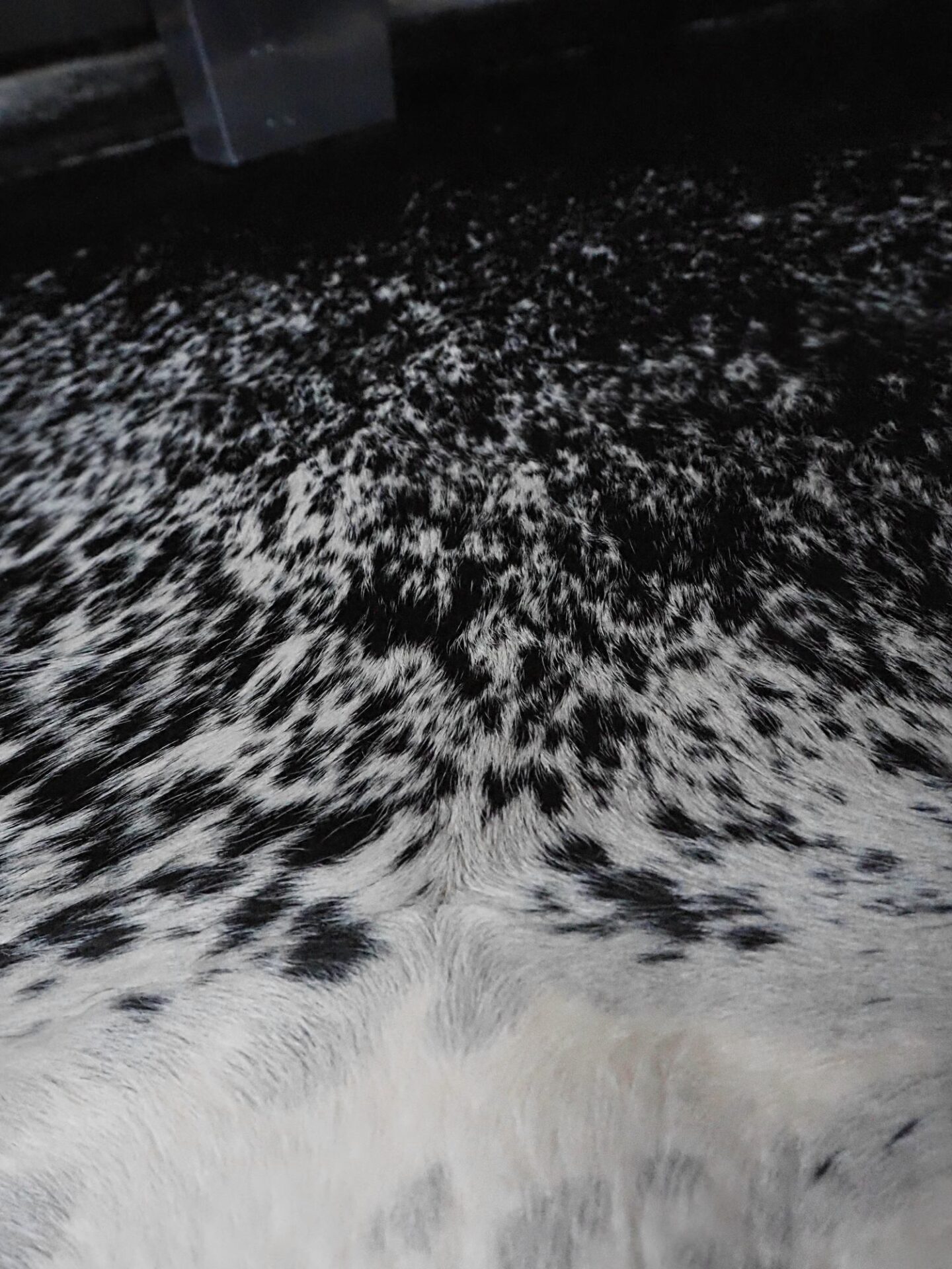 A picture of a cowhide rug from Eastern Countries Leathers styled on epoxy flooring and aviator table with accessories in Eve Sara McIntosh's house.