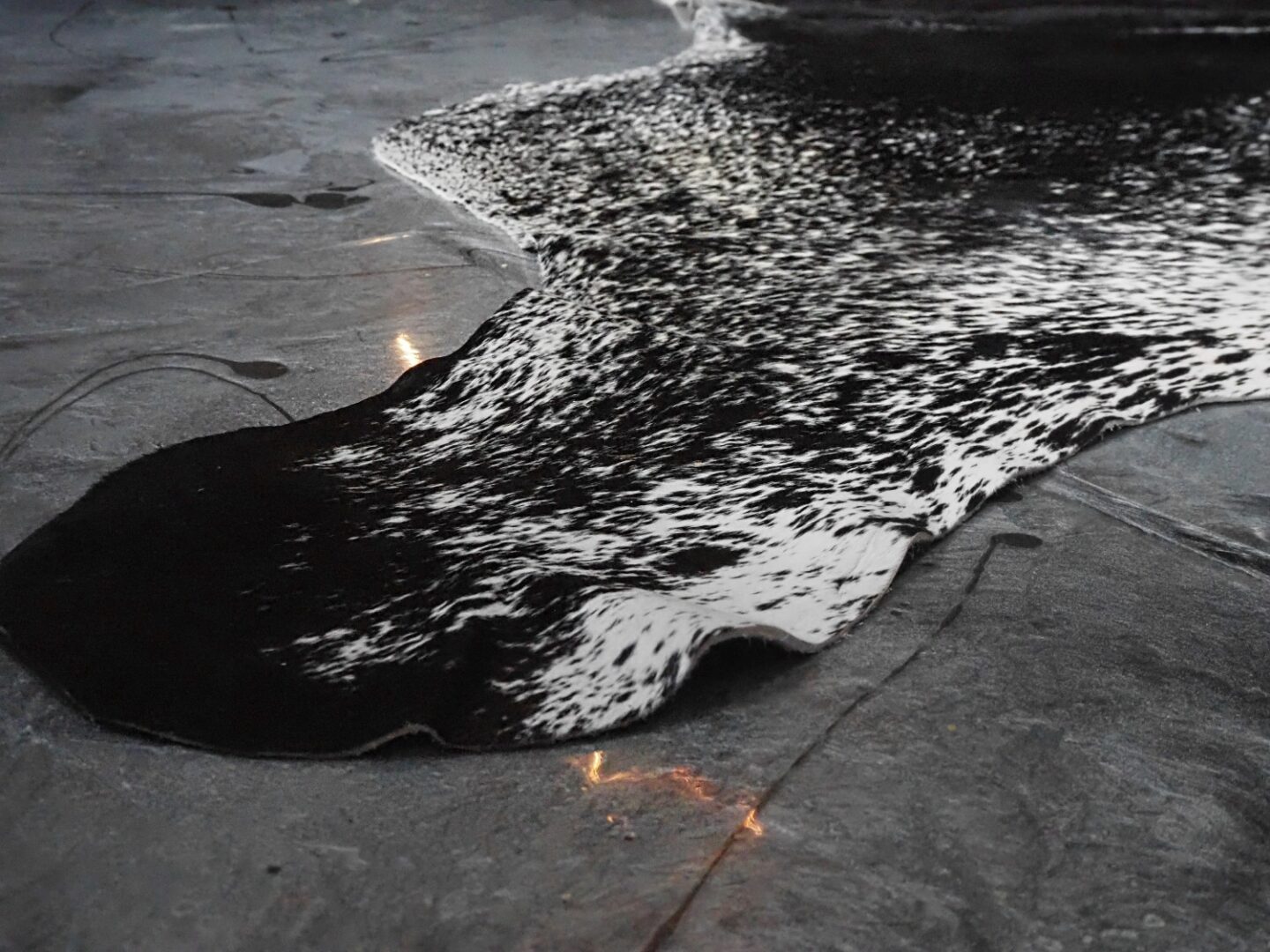 A picture of a cowhide rug from Eastern Countries Leathers styled on epoxy flooring in Eve Sara McIntosh's house.