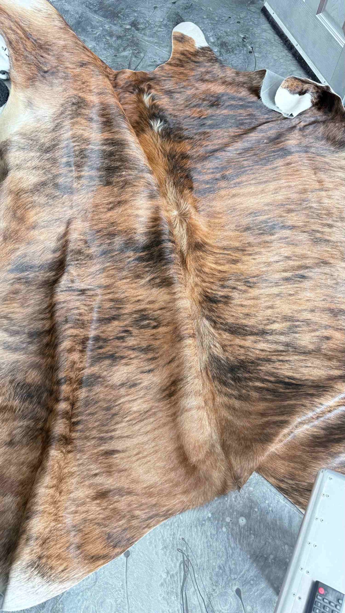 A picture of a cowhide rug on Eve Sara McIntosh's floor in her house.